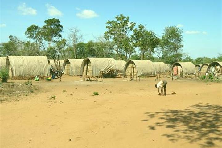 Escorts Chiure, Mozambique — Local Companions