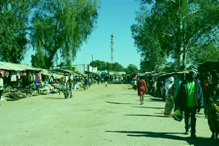 Escorts Choma, Zambia — Local Companions