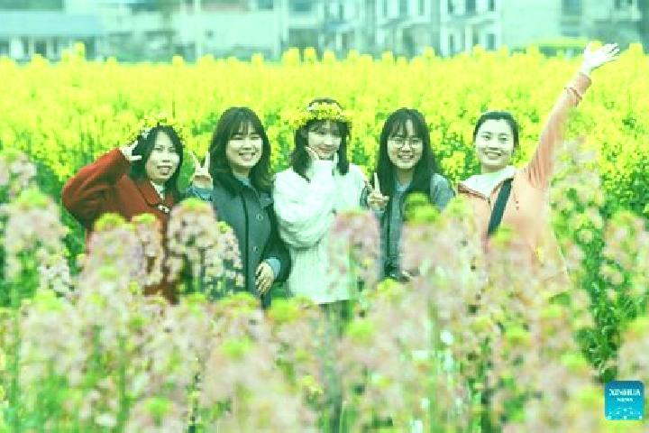 Escorts Chongkan, China — Local Companions