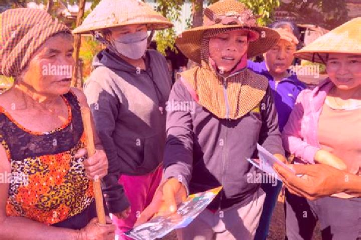 Escorts Chu Prong, Vietnam — Local Companions