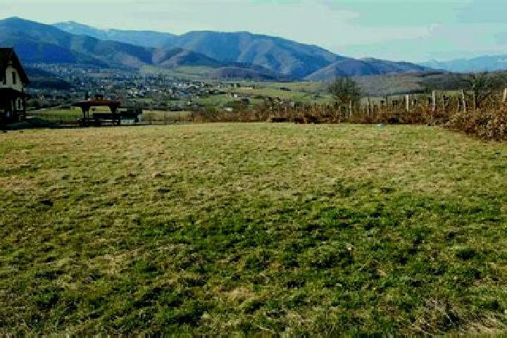 Escorts Cisnadie, Romania — Local Companions
