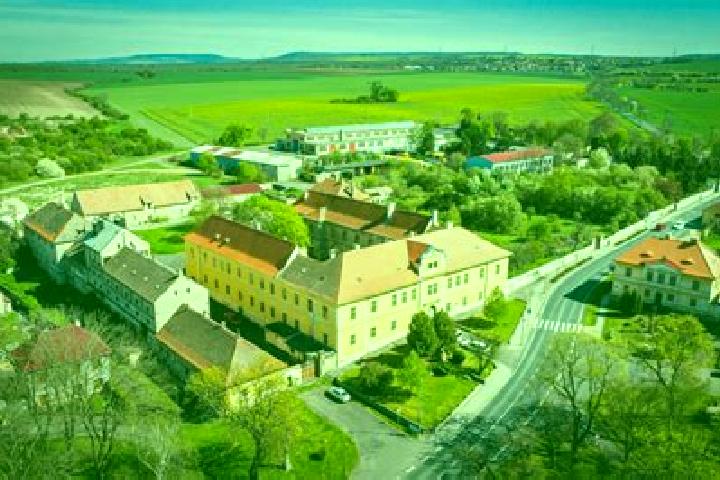 Escorts Citoliby, Czech Republic — Local Companions