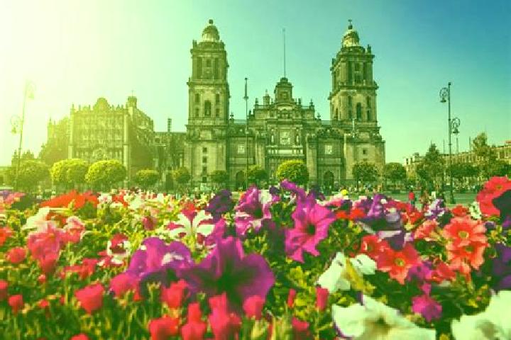 Escorts Ciudad de Armeria, Mexico — Local Companions