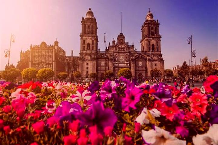Escorts Ciudad Madero, Mexico — Local Companions