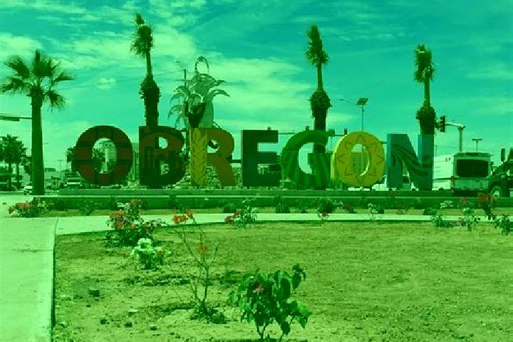 Escorts Ciudad Obregon, Mexico — Local Companions