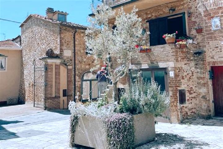 Escorts Civitella Marittima, Italy — Local Companions