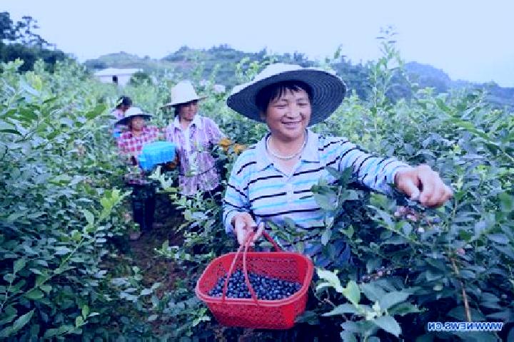 Escorts Cizhu, China — Local Companions