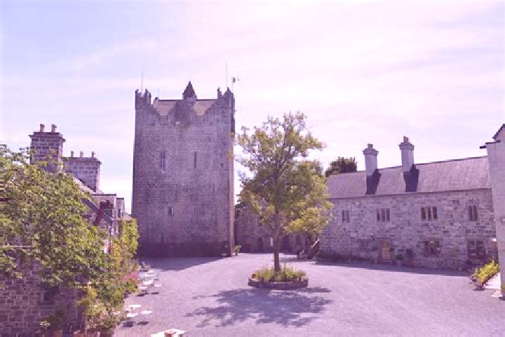 Escorts Claregalway, Ireland — Local Companions