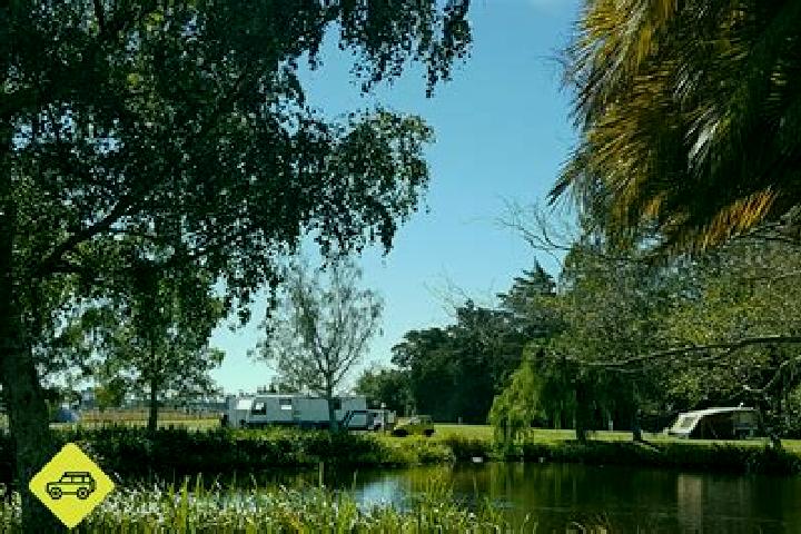 Escorts Clareville, Australia — Local Companions