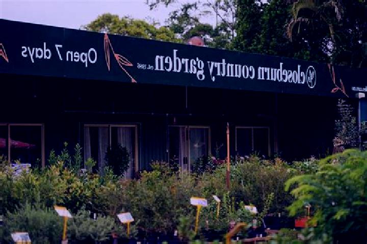 Escorts Closeburn, Australia — Local Companions