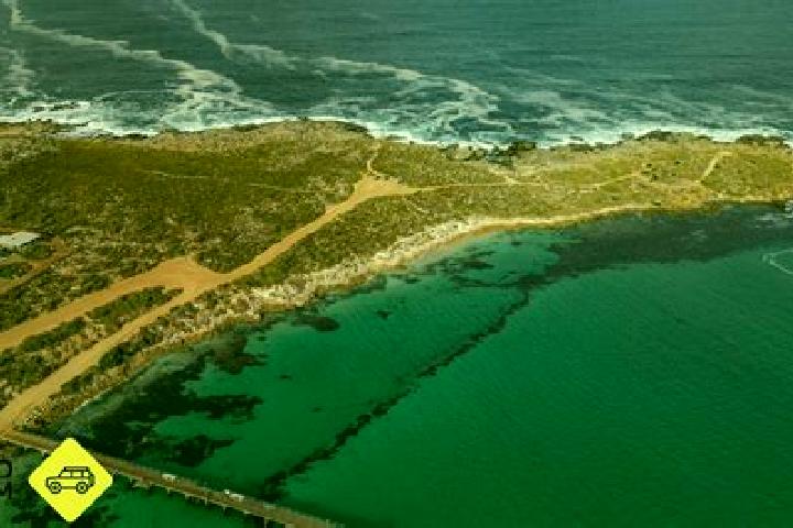 Escorts Coal Point, Australia — Local Companions