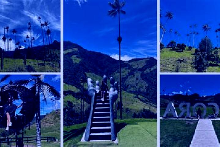 Escorts Cocora, Romania — Local Companions