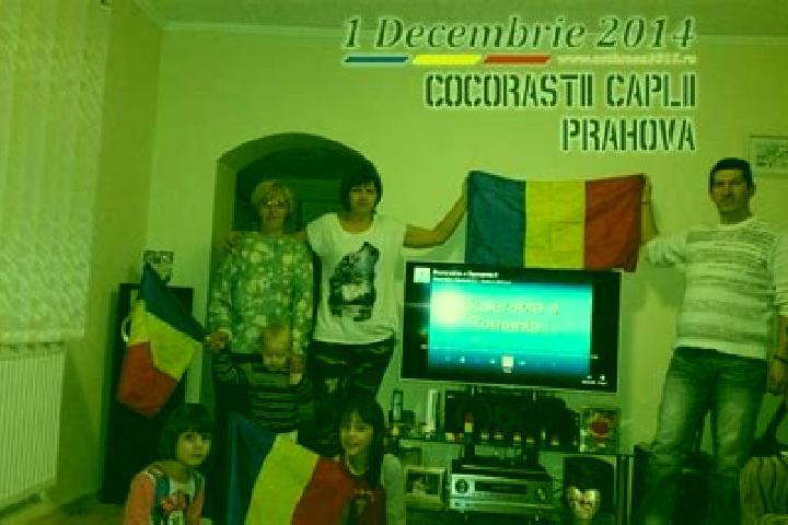 Escorts Cocorastii Caplii, Romania — Local Companions