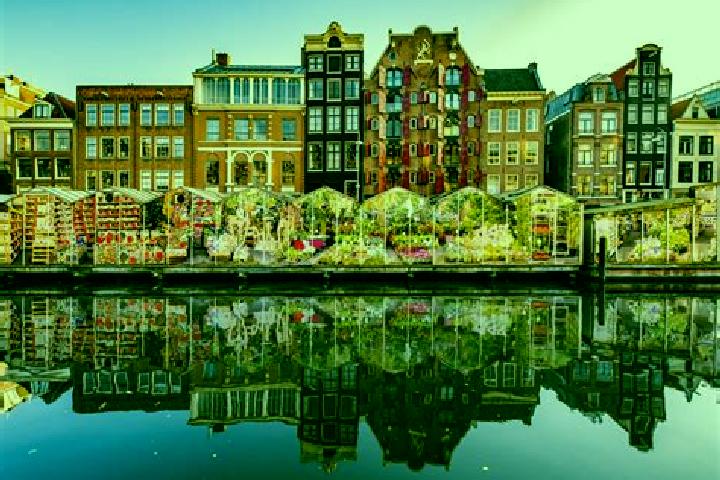 Escorts Coevering, Netherlands — Local Companions