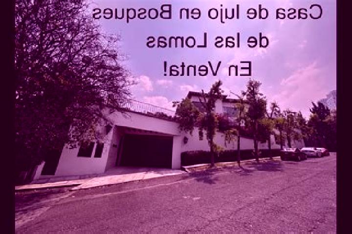 Escorts Col. Bosques de las Lomas, Mexico — Local Companions