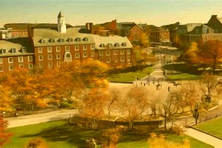 Escorts College Park, United States — Local Companions