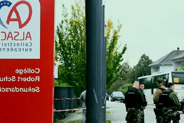 Escorts Collegien, France — Local Companions