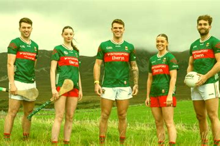 Escorts Collooney, Ireland — Local Companions