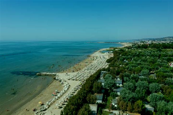 Escorts Cologna Spiaggia, Italy — Local Companions