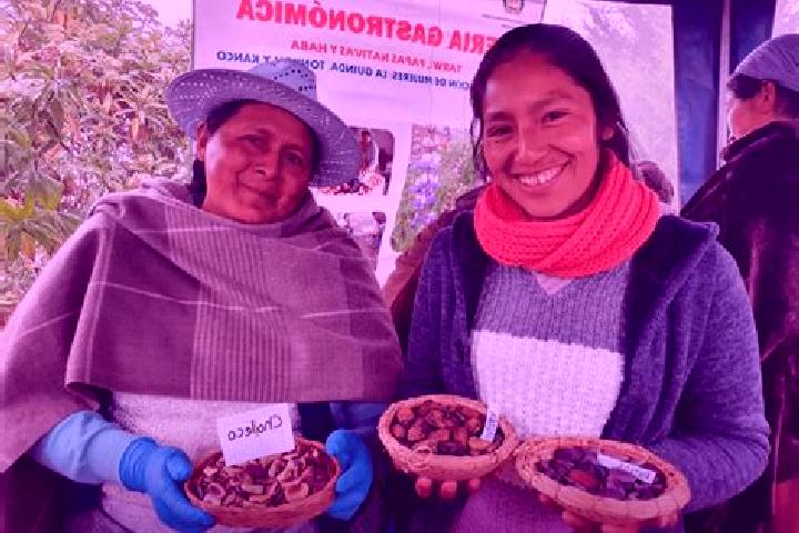 Escorts Colomi, Bolivia — Local Companions