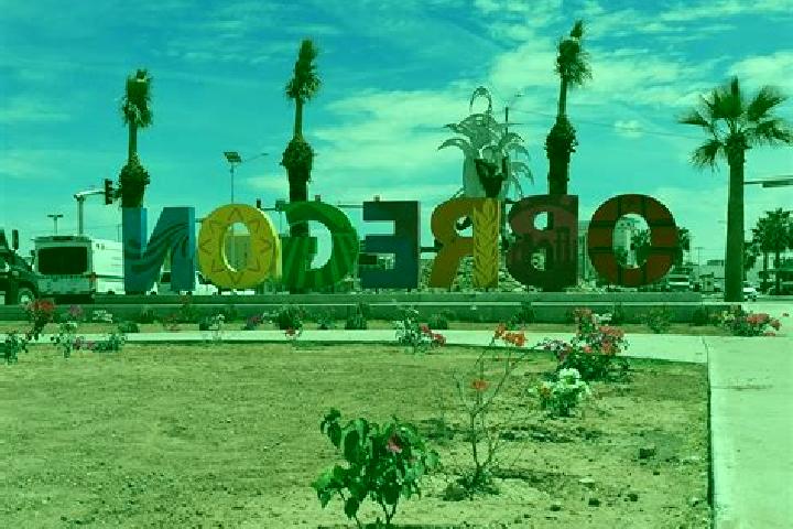 Escorts Colonia Agricola Alvaro Obregon, Mexico — Local Companions