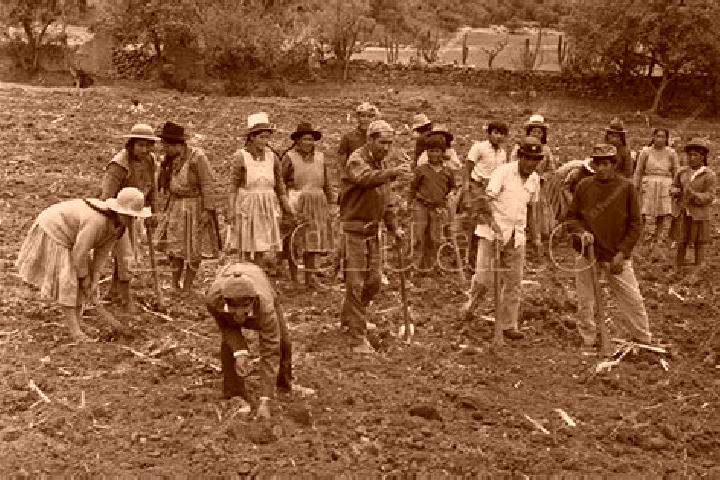Escorts Colonia Campesina, Mexico — Local Companions