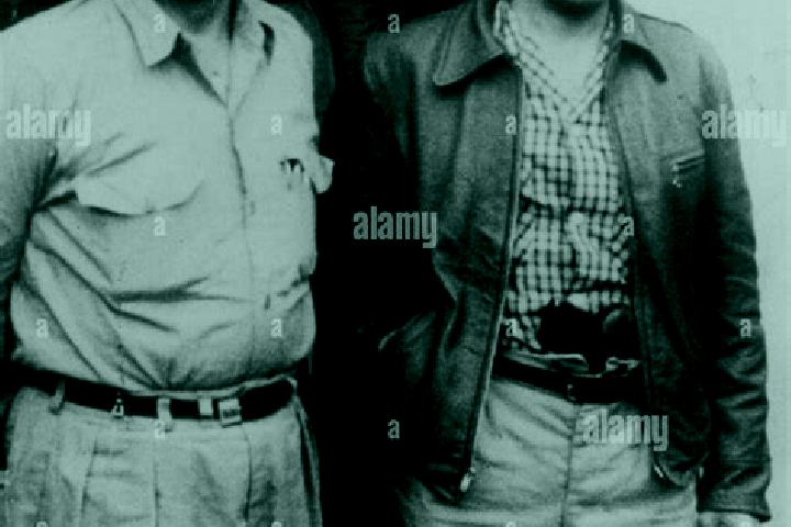 Escorts Colonia General Alfredo Stroessner, Paraguay — Local Companions