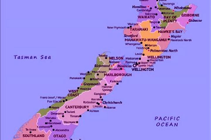 Escorts Concord, New Zealand — Local Companions