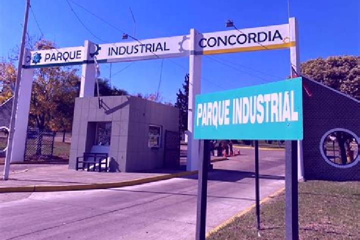Escorts Concordia, Argentina — Local Companions