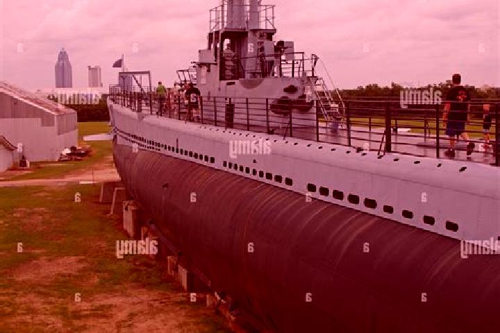 Escorts Conning Towers-Nautilus Park, United States — Local Companions