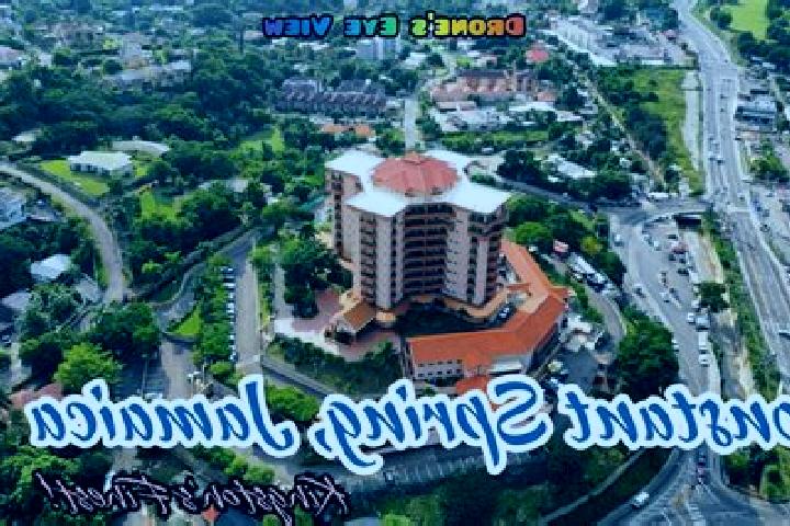 Escorts Constant Spring, Jamaica — Local Companions