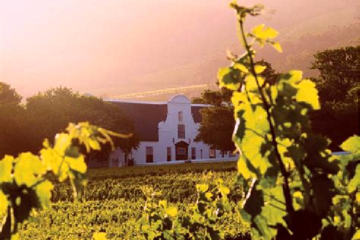 Escorts Constantia, South Africa — Local Companions