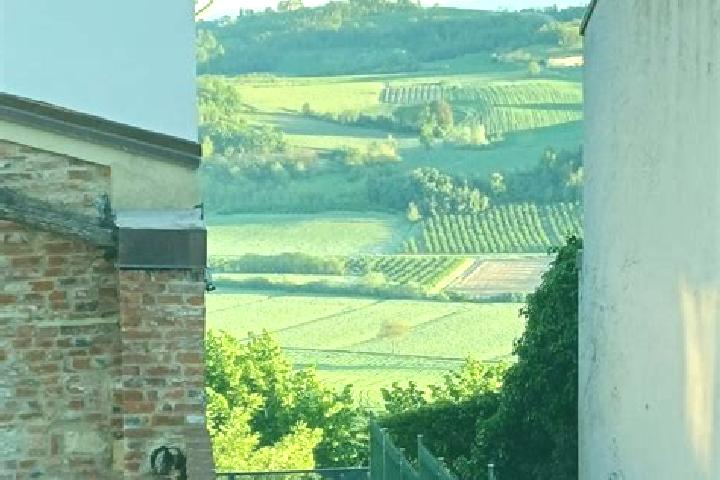 Escorts Conzano, Italy — Local Companions