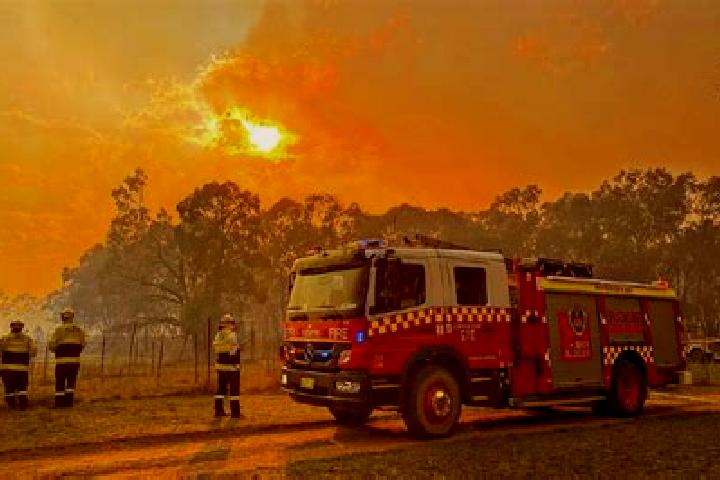 Escorts Cooks Gap, Australia — Local Companions