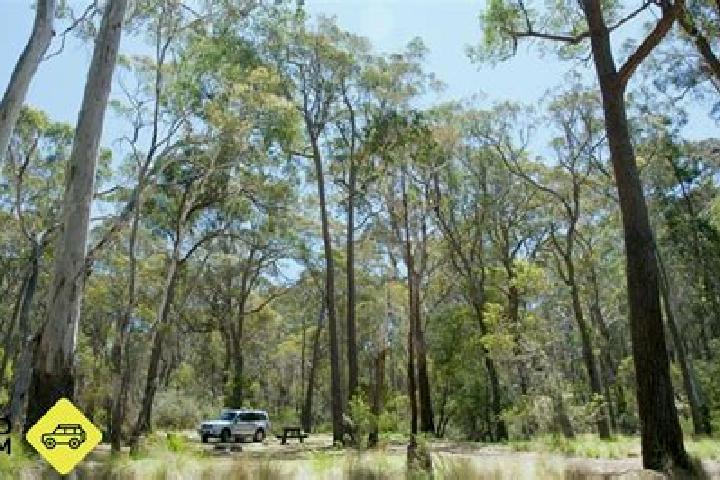 Escorts Coolah, Australia — Local Companions