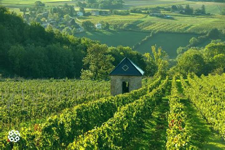 Escorts Corcelles-en-Beaujolais, France — Local Companions