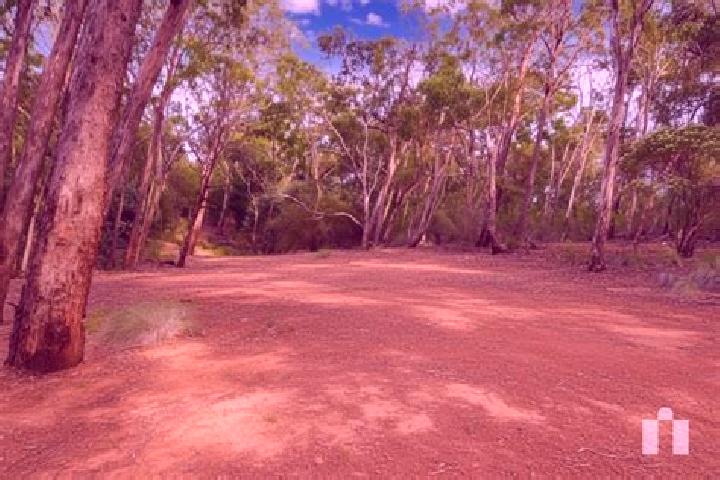 Escorts Cottles Bridge, Australia — Local Companions