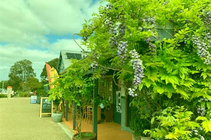 Escorts Cowaramup, Australia — Local Companions