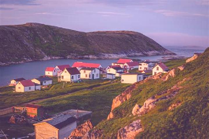 Escorts Cox s Cove, Canada — Local Companions