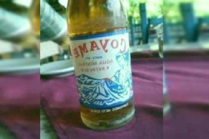 Escorts Coyamel (El Coyame), Mexico — Local Companions