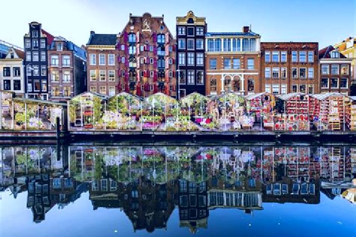 Escorts Creil, Netherlands — Local Companions