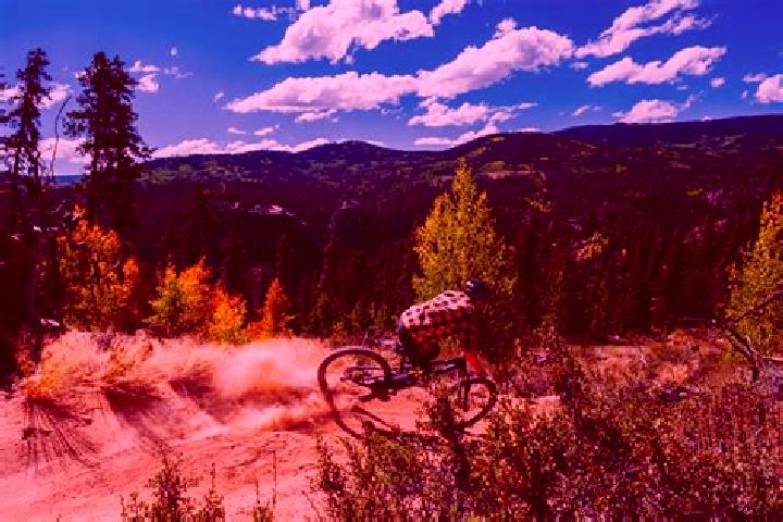 Escorts Crested Butte, United States — Local Companions