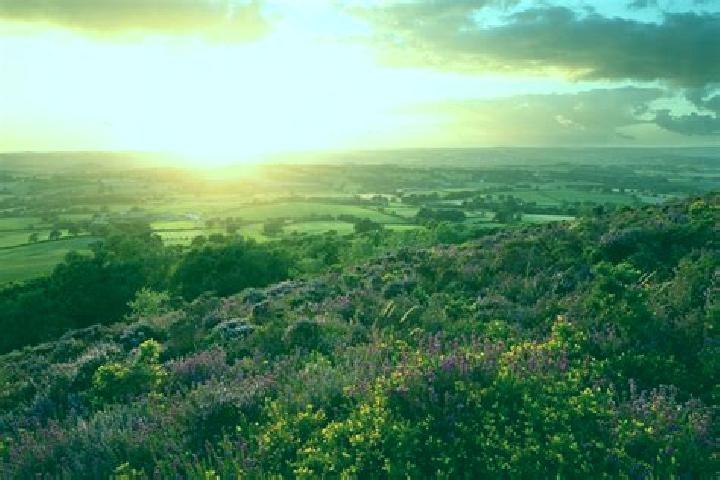 Escorts Cross Hills, United Kingdom — Local Companions