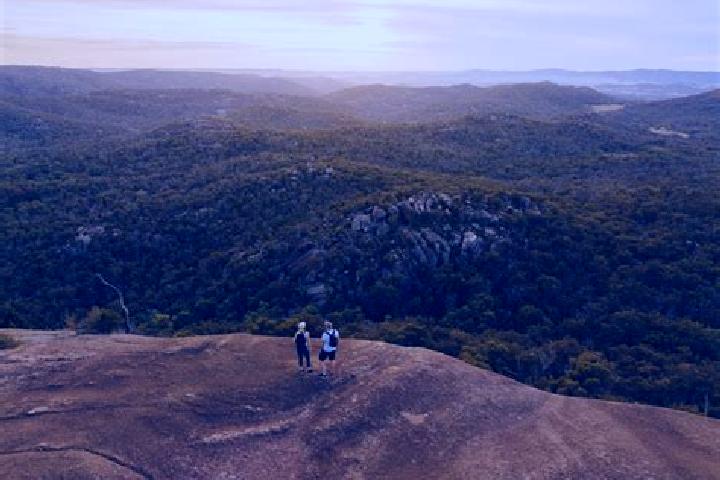 Escorts Crows Nest, Australia — Local Companions