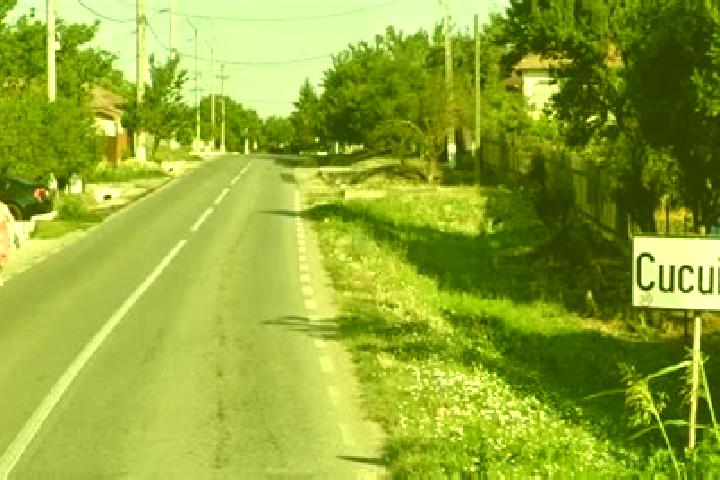 Escorts Cucuieti, Romania — Local Companions