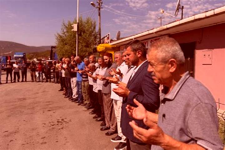 Escorts Cumayani, Turkey — Local Companions