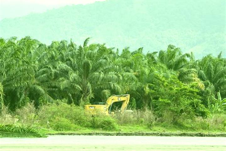 Escorts Cuyamel, Honduras — Local Companions