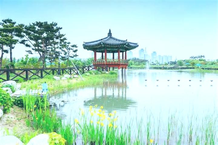 Escorts Daejeon, South Korea — Local Companions