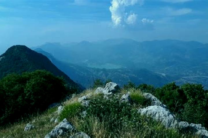 Escorts Dajt, Albania — Local Companions