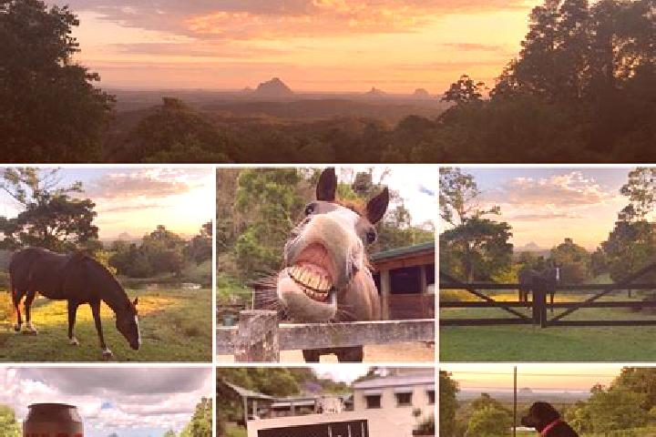 Escorts Dakabin, Australia — Local Companions